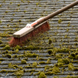 Nettoyage et démoussage toiture 47 à Casteljaloux